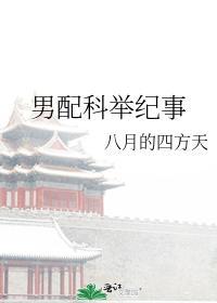 男配科举纪事封面