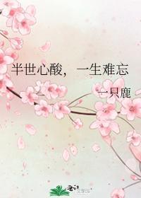 半世心酸，一生难忘封面
