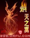 炽天之翼封面