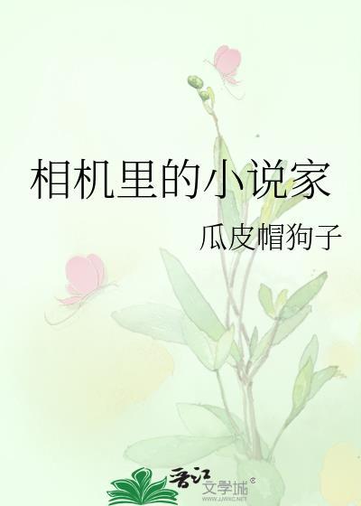 相机裏的小说家封面