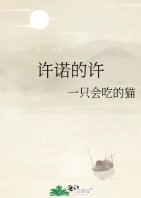 许诺的许封面