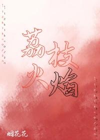 荔枝火焰封面