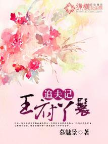 王府丫鬟追夫记封面