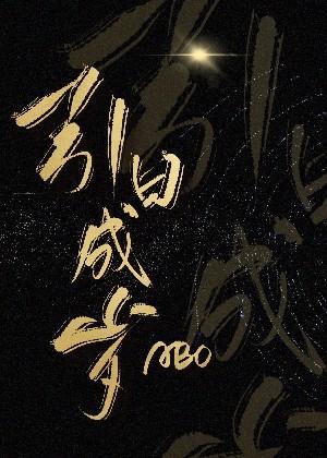 引日成岁封面