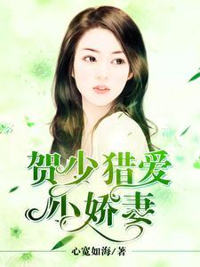 贺少猎爱小娇妻封面