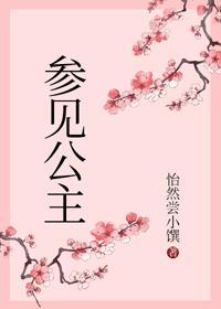 参见公主封面