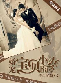 婚宠宝贝小妻封面