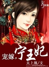 宠嫁，宁王妃封面