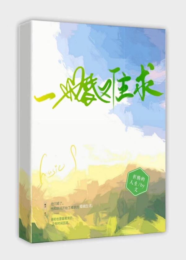 一婚难求封面