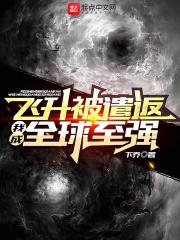 飞升被遣返，我成全球至强封面