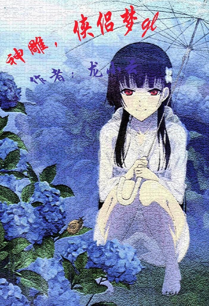 神雕，侠侣梦封面