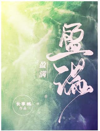 盈满封面