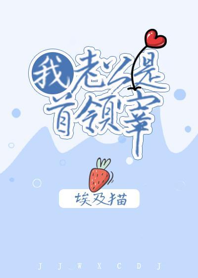 我老公是首领宰封面