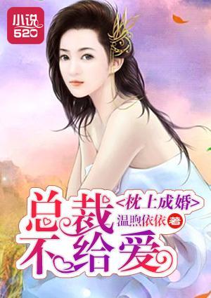 枕上成婚：总裁不给爱封面