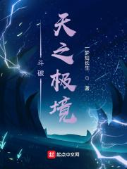 斗破：天之极境封面