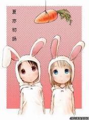 夏亦初扬封面