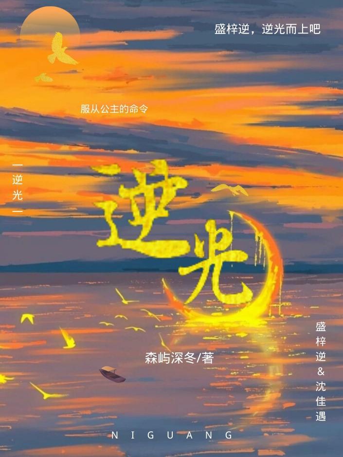 你逆着光走来封面