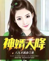 神婿天降封面