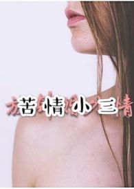 苦情小三封面