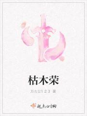 枯木荣封面