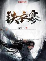 铁衣寒封面