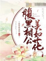 叶清清沈从安封面