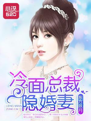 冷面总裁隐婚妻封面