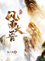 风雨大晋封面