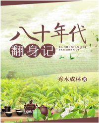 八十年代翻身记封面