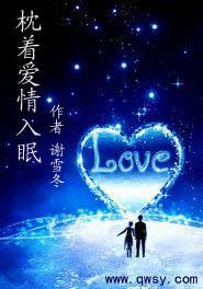 枕着爱情入眠封面