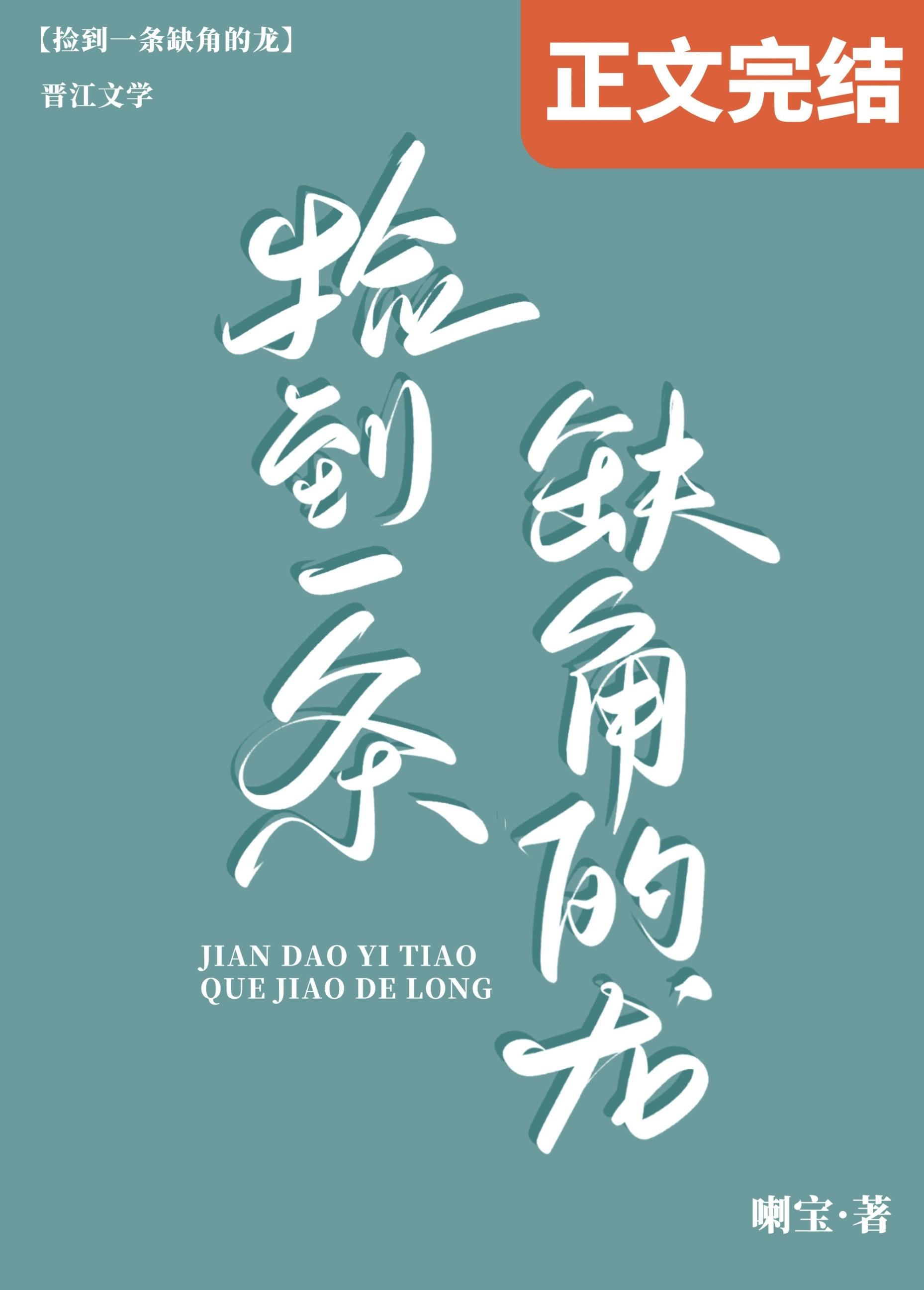 捡到一条缺角的龙封面