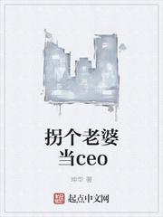 拐个公主当老婆封面