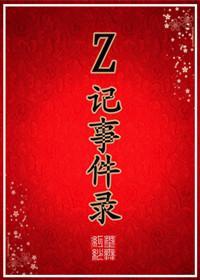 Z记事件录封面