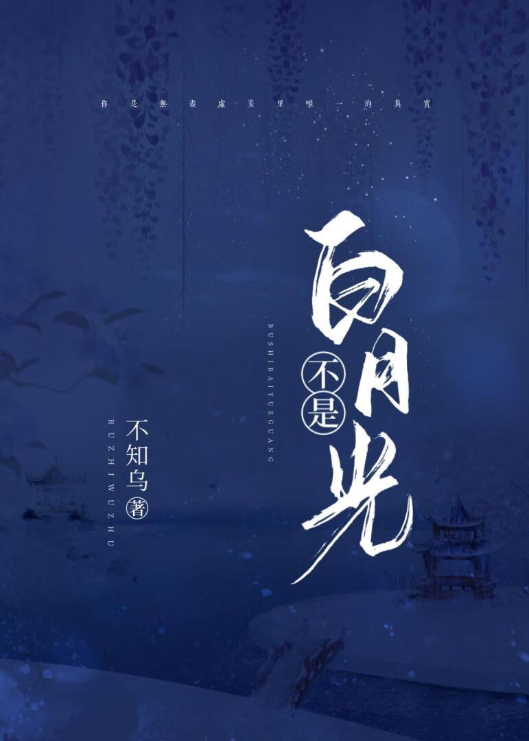 不是白月光封面