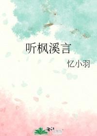 听枫溪言封面