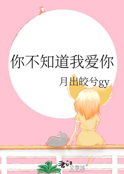 你不知道我爱你封面