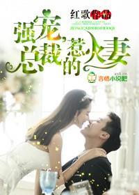 强宠，总裁的惹火妻封面