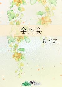 金丹卷封面