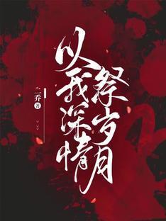以我深情祭岁月封面