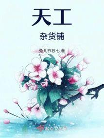 天工杂货铺封面