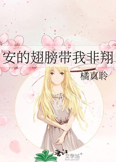 安的翅膀带我非翔封面