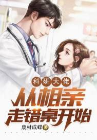 科研大佬从相亲走错桌开始封面