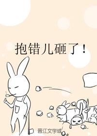 抱错儿砸了！封面