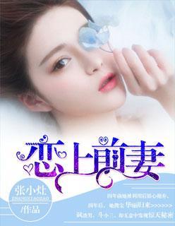 恋上前妻封面