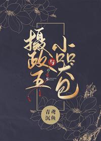 摄政王与小哭包封面