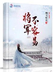 将军不容易封面