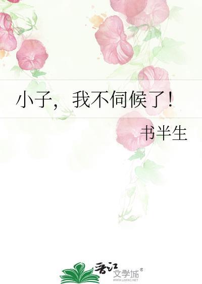 小子，我不伺候了！封面