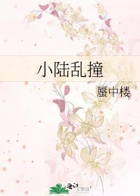小陆乱撞封面