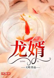 龙婿封面