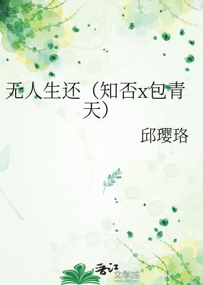 无人生还（知否x包青天）封面